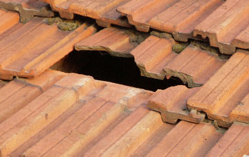 roof repair Dinedor, Herefordshire