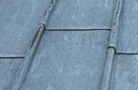 find rated Dinedor lead roofing companies